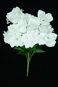 White Micro White Open Rose Bush x12 (Lot of 1) SALE ITEM